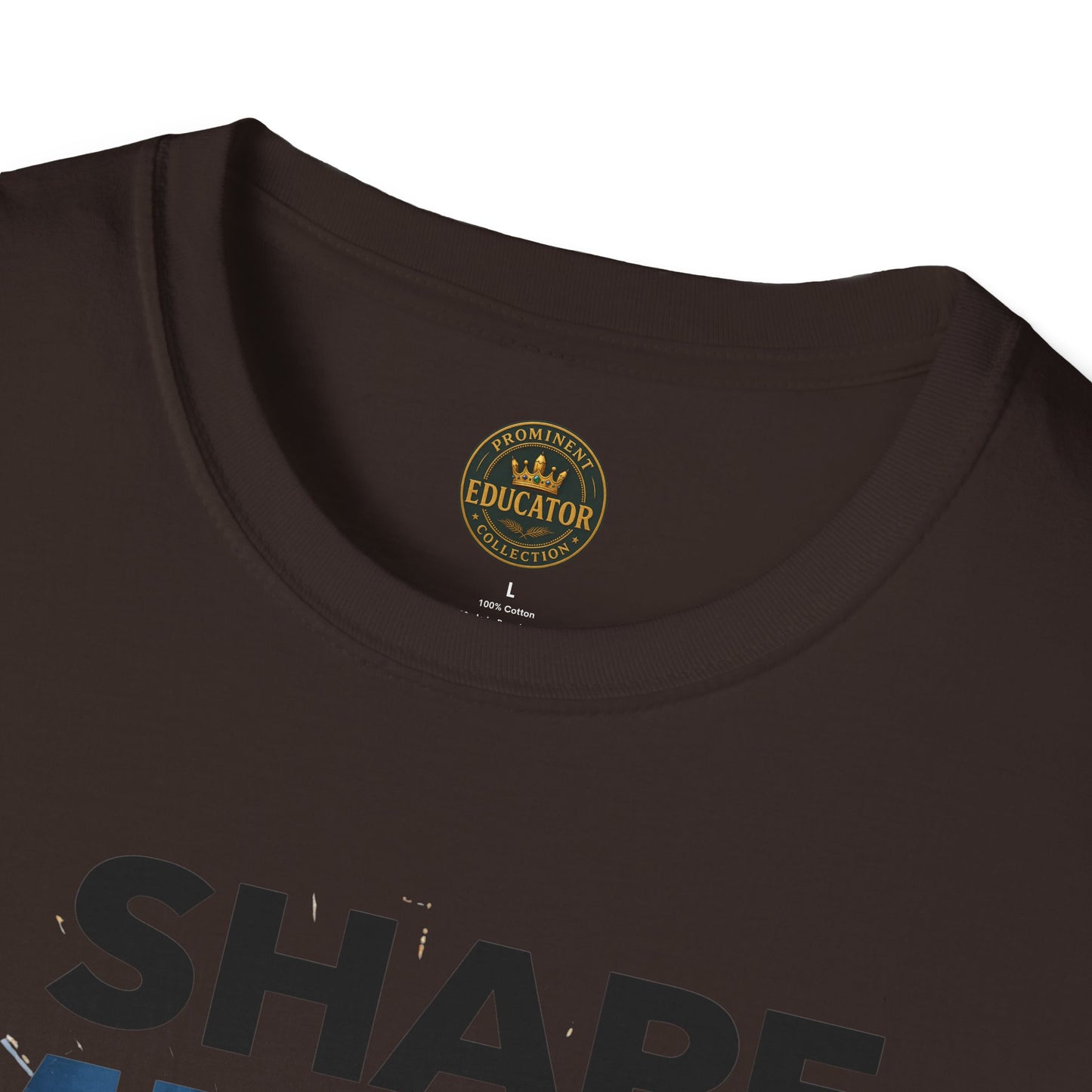 Prominent Educator Men - I Shape Minds and Futures Men - Teacher Tribute Tee