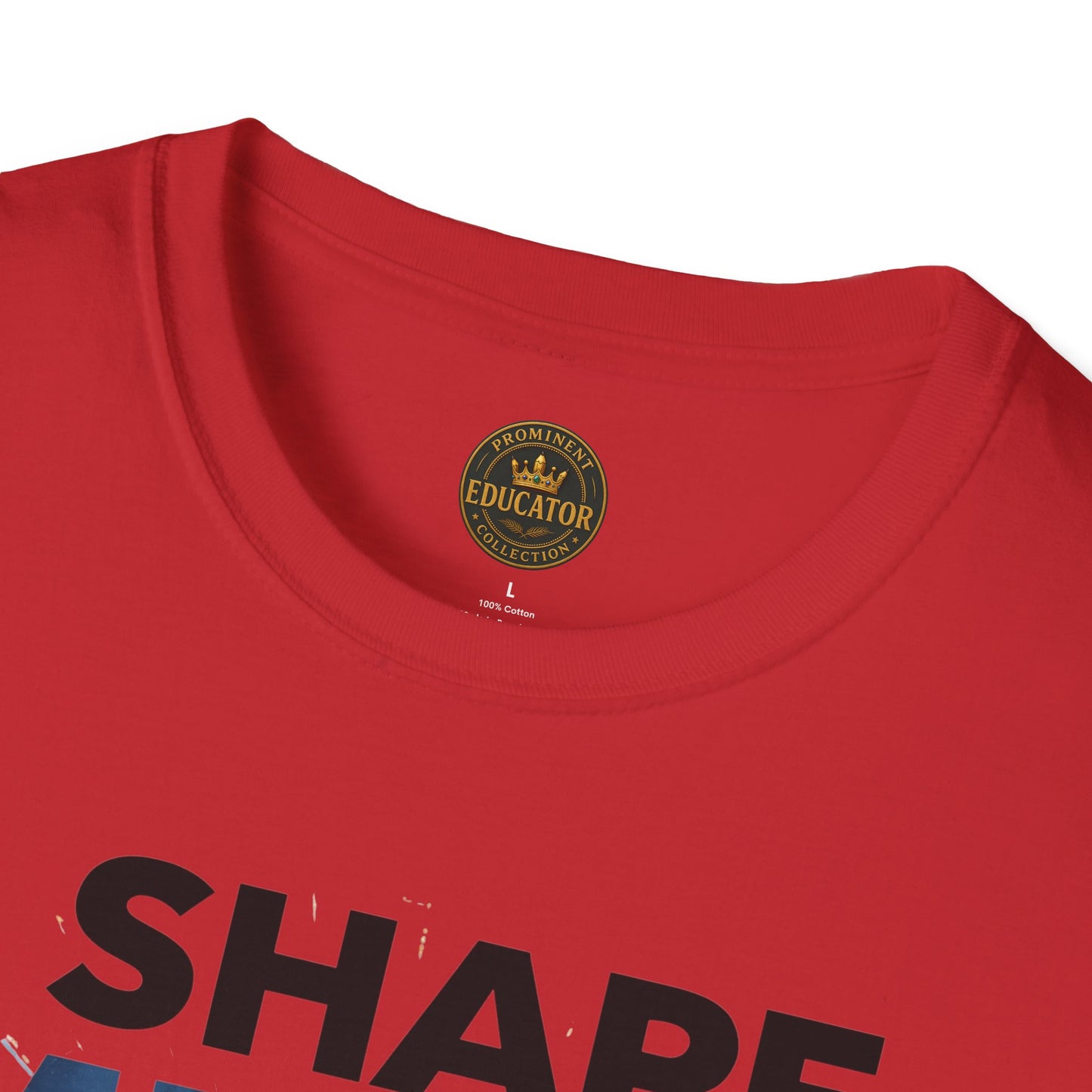 Prominent Educator Men - I Shape Minds and Futures Men - Teacher Tribute Tee